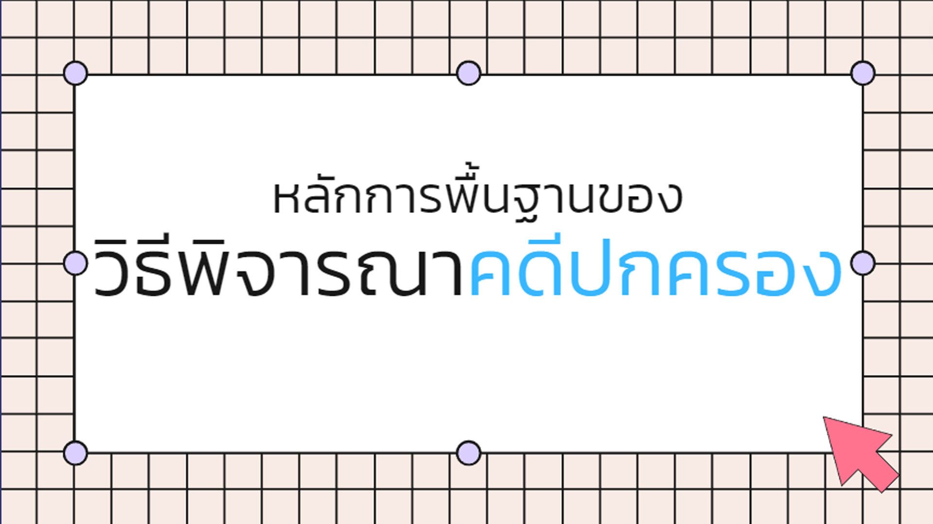 หลักการพื้นฐานของวิธีพิจารณาคดีปกครอง OAC133